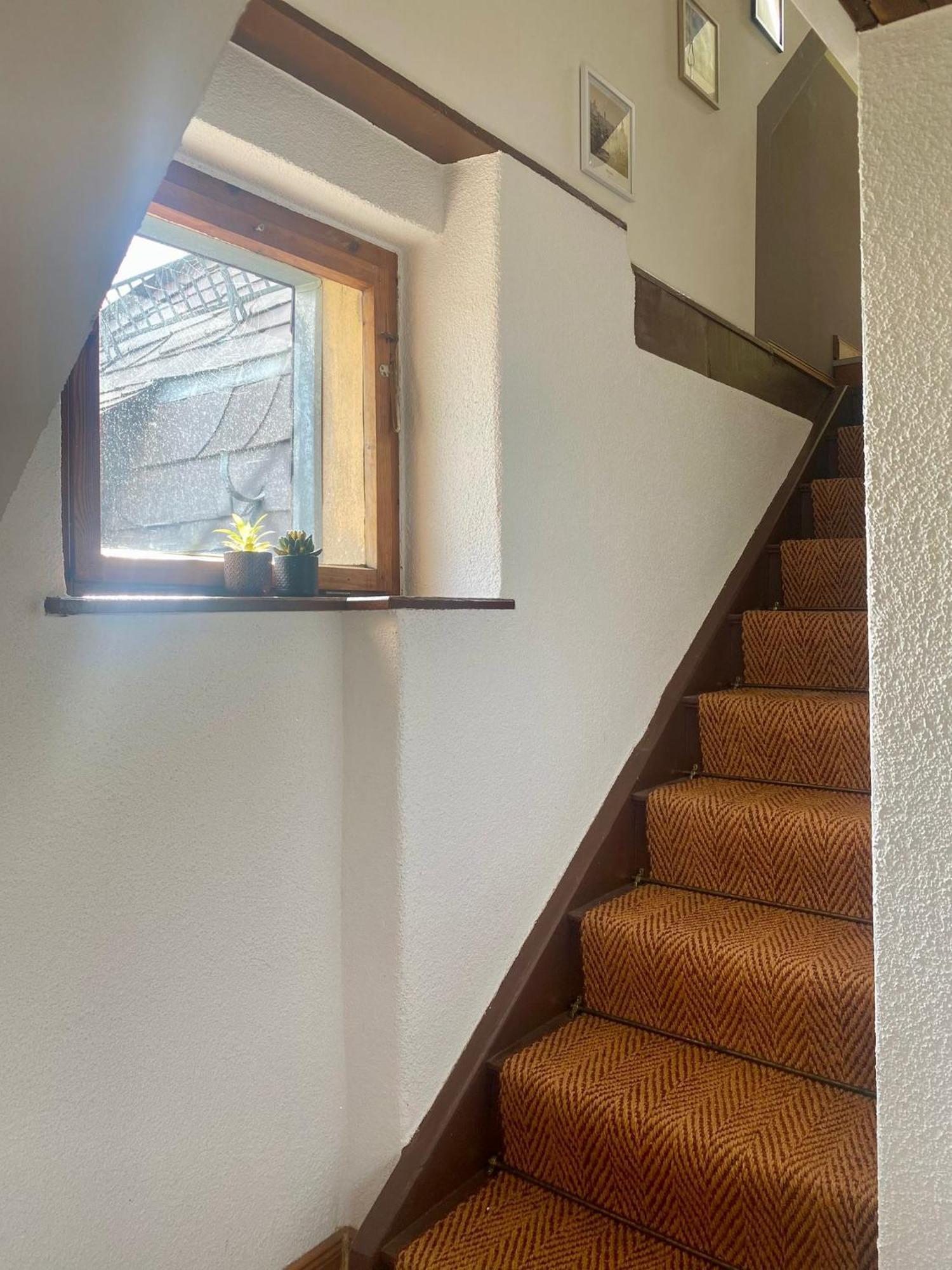 Dachgeschossloft Mit Aussicht Ins Erzgebirge Apartment