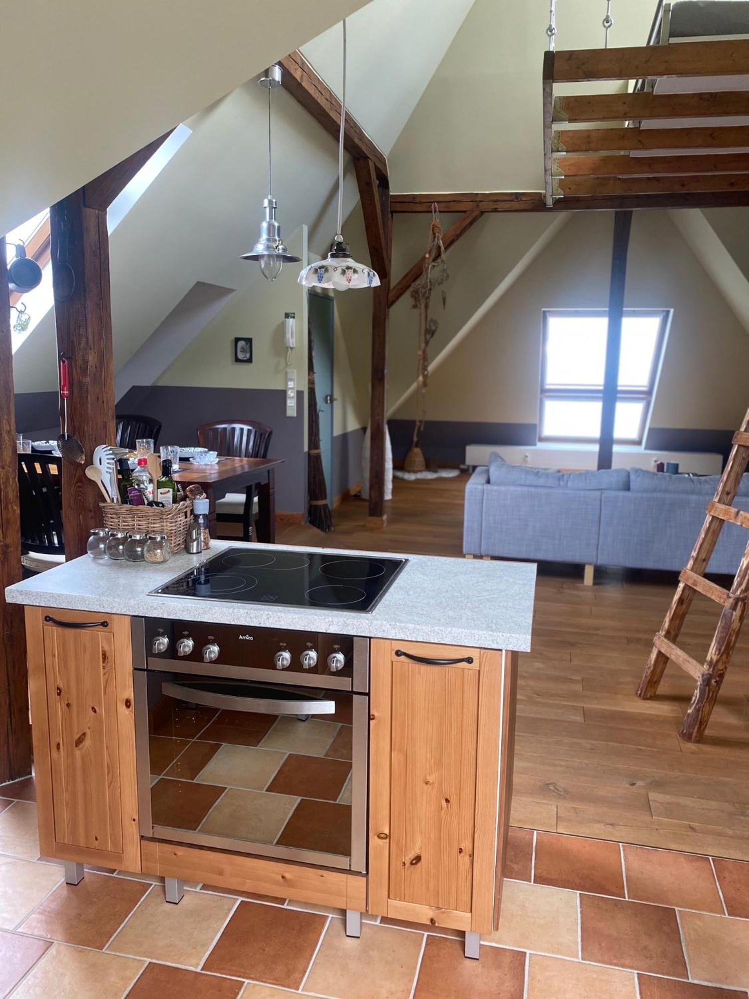 Dachgeschossloft Mit Aussicht Ins Erzgebirge Apartment